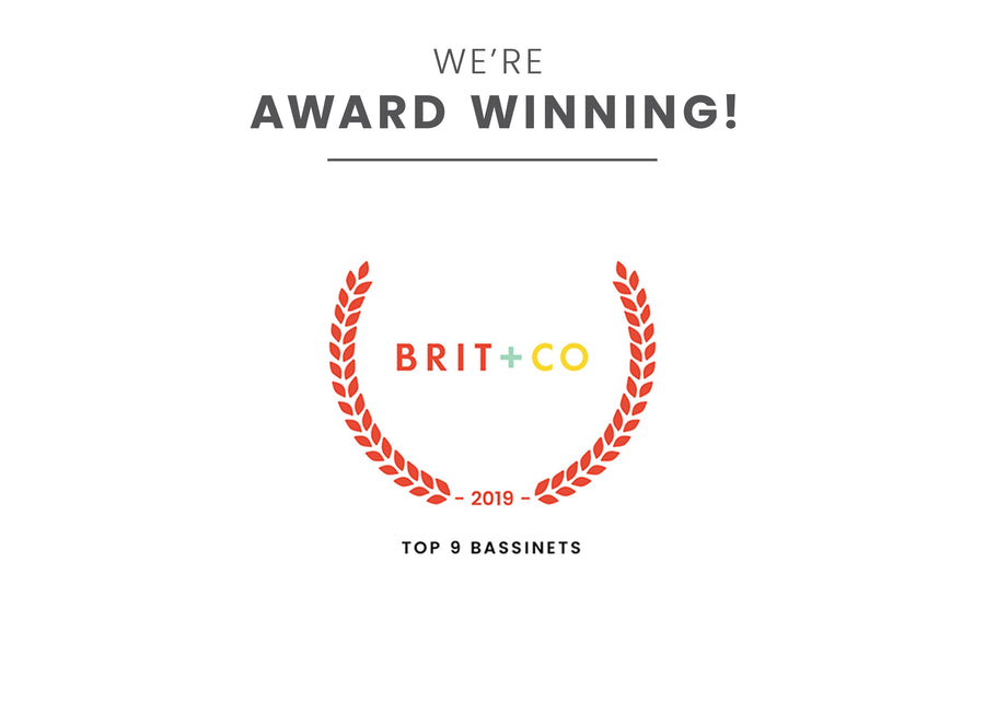 Deluxe Moses Bassinet 15-Deluxe Moses Bassinet