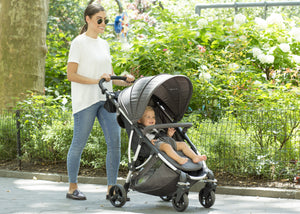 Jeep Gemini Stroller Boeing (2079)  0