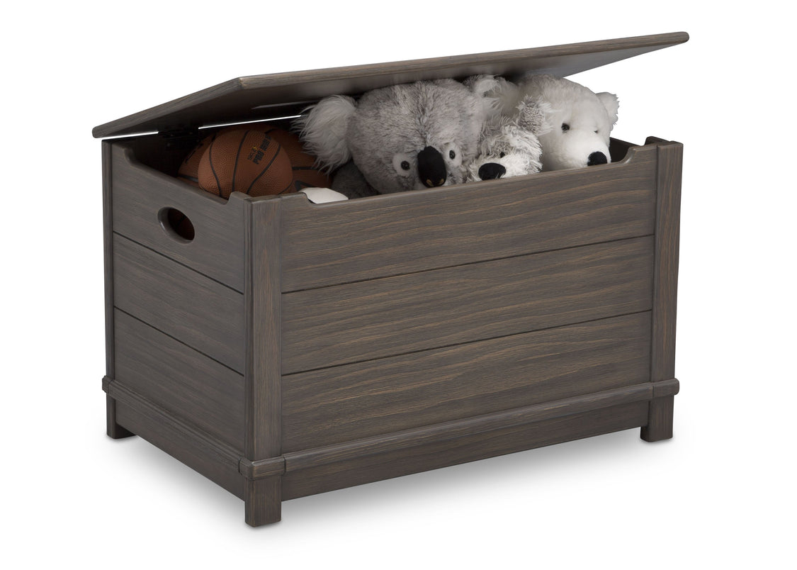 Delta Children Rustic Grey (084)  Monterey Farmhouse Hope Chest Toy Box (536450), w Props, a4a