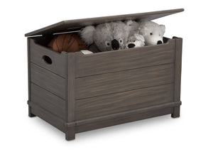 Delta Children Rustic Grey (084)  Monterey Farmhouse Hope Chest Toy Box (536450), w Props, a4a 6