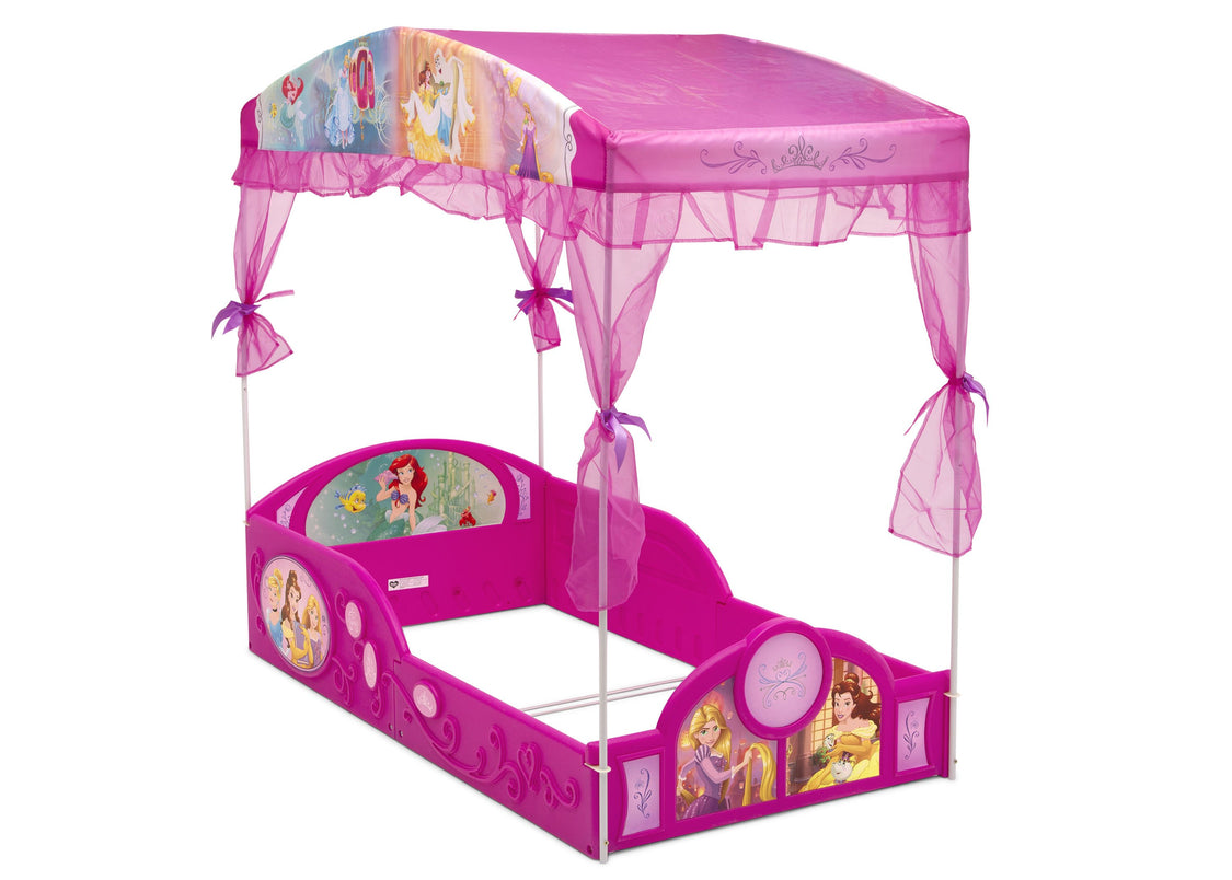 Disney Princess (1034)
