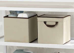 Delta Children Beige (250) 2-Pack Lidded Storage Bins (SS2165), Details, c1c 40