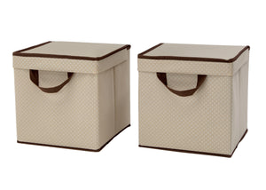 Delta Children Beige (250) 2-Pack Lidded Storage Bins (SS2165), Hangtag, c2c 15