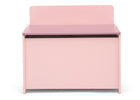 Blush (1271) 2-GapKids Toy Box