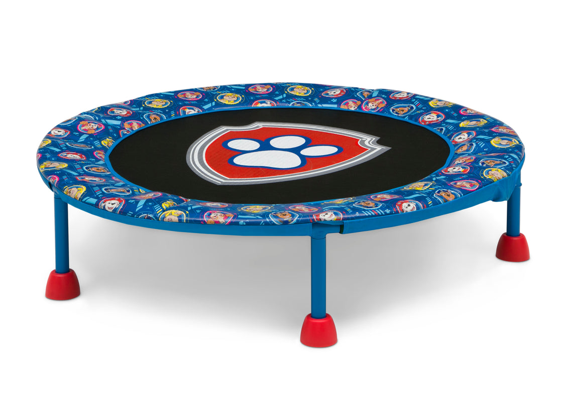Paw Patrol (1121)