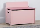 Blush (1271) 1-GapKids Toy Box